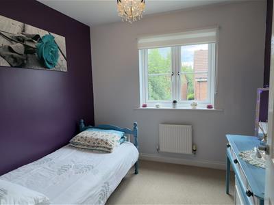 Picture 28